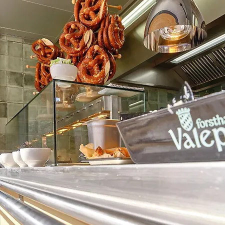 Otel Forsthaus Valepp *